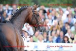 Reitsport 2008