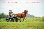 Reitsport 2009