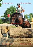 Reitsport 2010