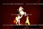 Reitsport 2005