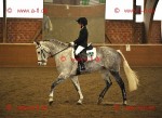 Reitsport 2013